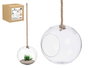 GIFTDECOR Jarrón Colgar Cuerda Bola Transparente-Marrón