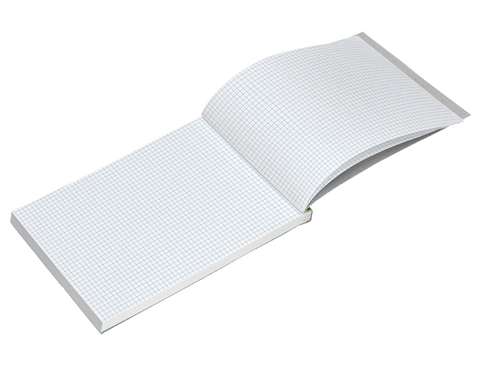 Liderpapel Bloc de notas A5 Cuadro 4mm, 80 hojas, 60 g/m², perforado