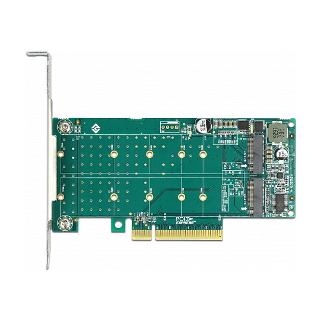 DeLOCK 89045 Tarjeta PCI Express x8 a 2 x NVMe M.2 Key M con Bifurcación, Perfil Bajo