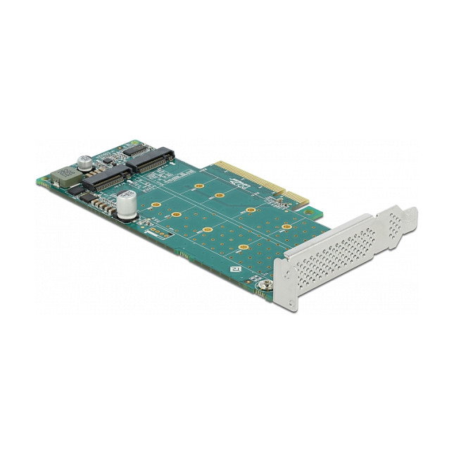 DeLOCK 89045 Tarjeta PCI Express x8 a 2 x NVMe M.2 Key M con Bifurcación, Perfil Bajo