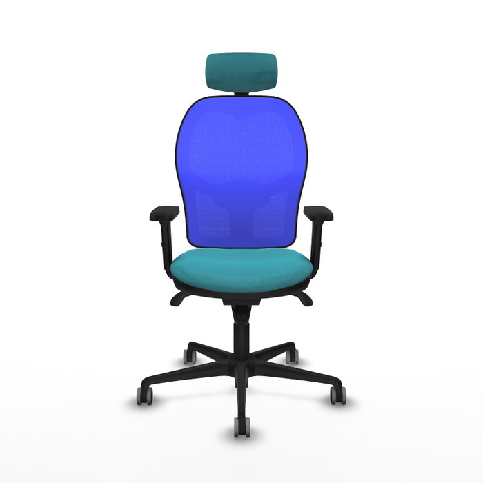 PIQUERAS Y CRESPO Silla de oficina Jorquera con mecanismo Sincro, Tela Turquesa y Malla Azul PIQUERAS Y CRESPO Silla de oficina Jorquera con mecanismo Sincro, Tela Turquesa y Malla Azul