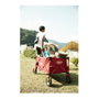 Coleman Carro de Camping Plegable con Freno Rojo