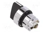 SCHNEIDER ELECTRIC Interruptor Rotativo Harmony XB4 22mm Negro