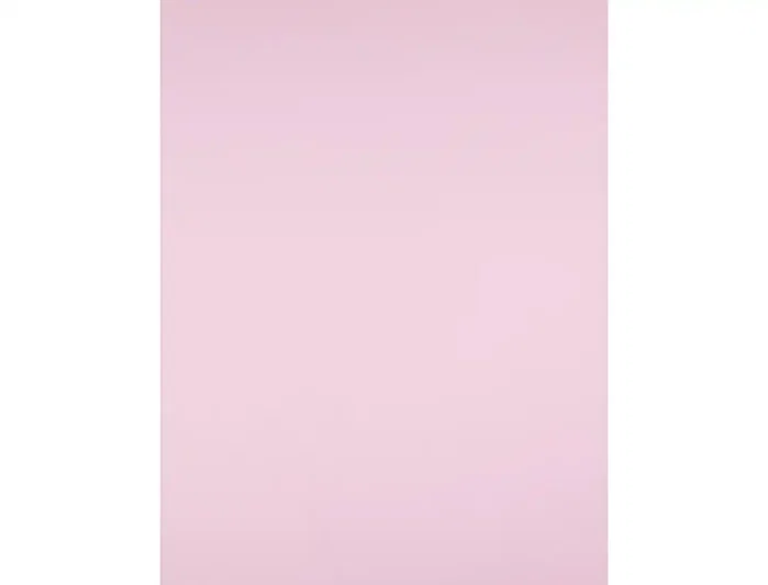 Liderpapel Cartulina Rosa 50x65 cm 180g/m2 Paquete de 25 hojas