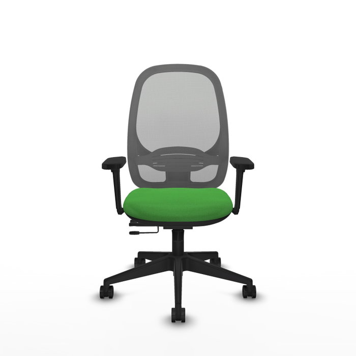 PIQUERAS Y CRESPO Silla de oficina Cilanco Verde y Gris con Brazos 3D PIQUERAS Y CRESPO Silla de oficina Cilanco Verde y Gris con Brazos 3D