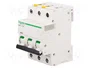 SCHNEIDER ELECTRIC iC60N Interruptor magnetotérmico 16A 3 polos