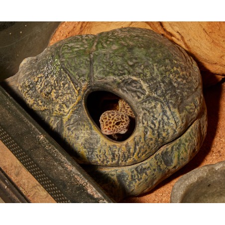 ZooMed Cueva para Reptiles y Anfibios, Mediana, 20 cm, Favorece Muda y Respiración