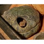 ZooMed Cueva para Reptiles y Anfibios, Mediana, 20 cm, Favorece Muda y Respiración