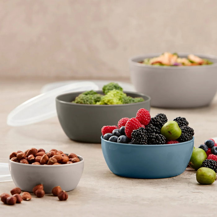 Day - Juego de 4 Bols con Tapa de Polipropileno, 200 ml, 400 ml, 600 ml, 900 ml, Colores Variados