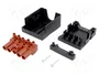 BM GROUP Bloque de Bornas Desmontable de Tornillo 16A