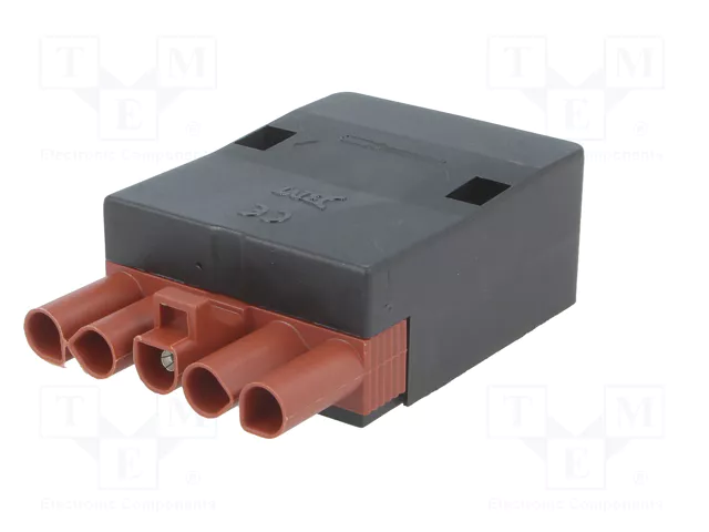 BM GROUP Bloque de Bornas Desmontable de Tornillo 16A