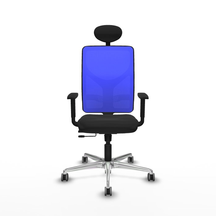 PIQUERAS Y CRESPO Silla de oficina Motilla con mecanismo Sincro/Traslack, Negro y Azul PIQUERAS Y CRESPO Silla de oficina Motilla con mecanismo Sincro/Traslack, Negro y Azul