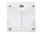 Q-connect Báscula de Baño Digital KF19060, Precisión 100g, Capacidad 180kg, Pantalla LCD, 300x300x22mm