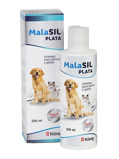 König Malasil Champú 200ml Antibiofilm Antimicrobiano Dermatitis Caninos Felinos