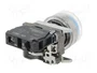SCHNEIDER ELECTRIC XB4BP61 Interruptor de presión azul 22mm NA