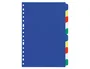 Liderpapel Juego de 10 Separadores de Plástico Formato Folio