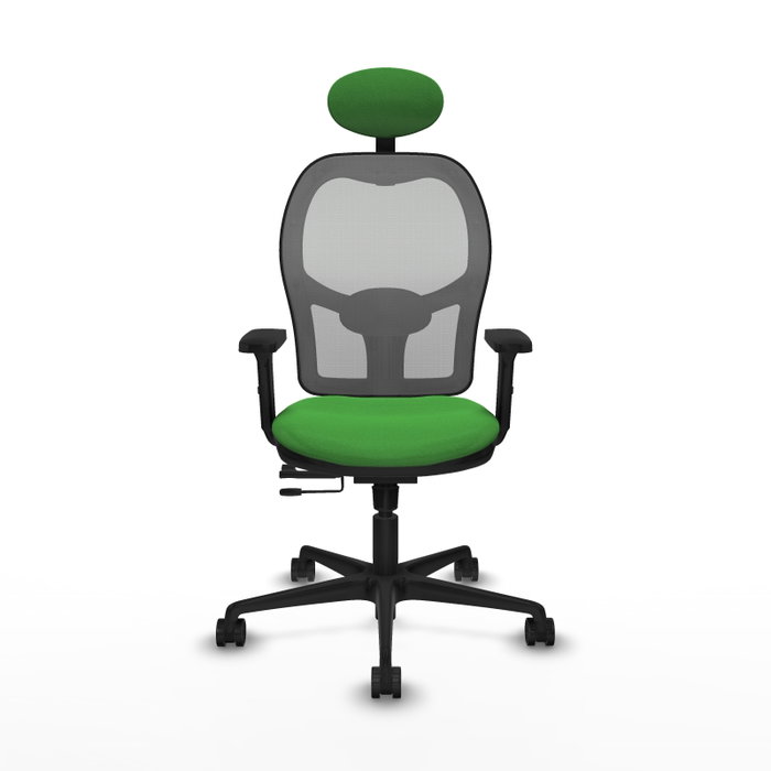 PIQUERAS Y CRESPO Silla de oficina Jorquera con mecanismo Sincro/Traslack, Verde y Gris PIQUERAS Y CRESPO Silla de oficina Jorquera con mecanismo Sincro/Traslack, Verde y Gris