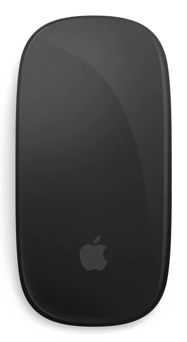 Apple Magic Mouse Negro USB-C