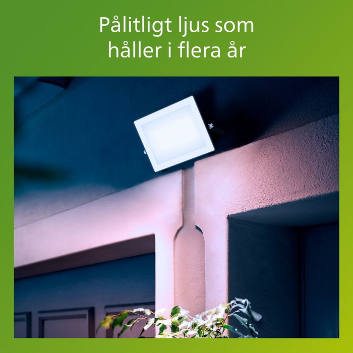 Philips Foco proyector Lois 50 W 5000 K 5400 lm Negro