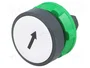 SCHNEIDER ELECTRIC Interruptor de presión Harmony XB5 blanco 22mm