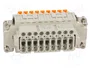 ILME Conector HDC CDSH hembra 27 pines