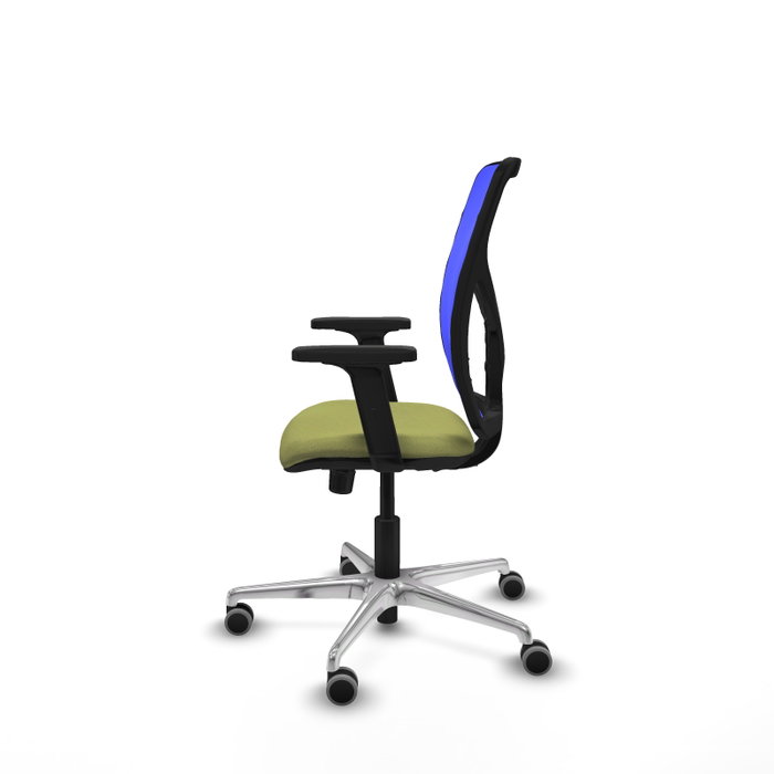 PIQUERAS Y CRESPO Silla de oficina Motilla con mecanismo Sincro, Verde oliva y Azul PIQUERAS Y CRESPO Silla de oficina Motilla con mecanismo Sincro, Verde oliva y Azul