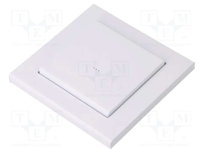 F&F Transmisor de tecla F&Wave 868MHz F&F Transmisor de tecla F&Wave 868MHz