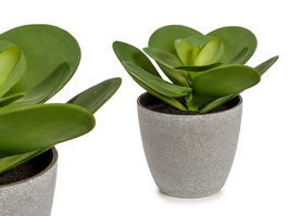 Ibergarden Maceta Planta Hoja Redonda Grande Verde Gris 18 x 18 x 18.5 cm (Set de 12)