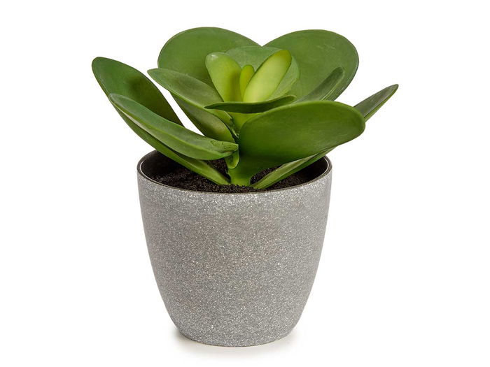 Ibergarden Maceta Planta Hoja Redonda Grande Verde Gris 18 x 18 x 18.5 cm (Set de 12)