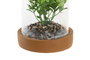 DKD Home Decor Planta 4 Unidades Amarillo Verde 12 x 18 x 12 cm