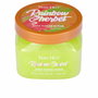 Tree Hut Exfoliante de Azúcar Sorbete de Arco Iris 510 g