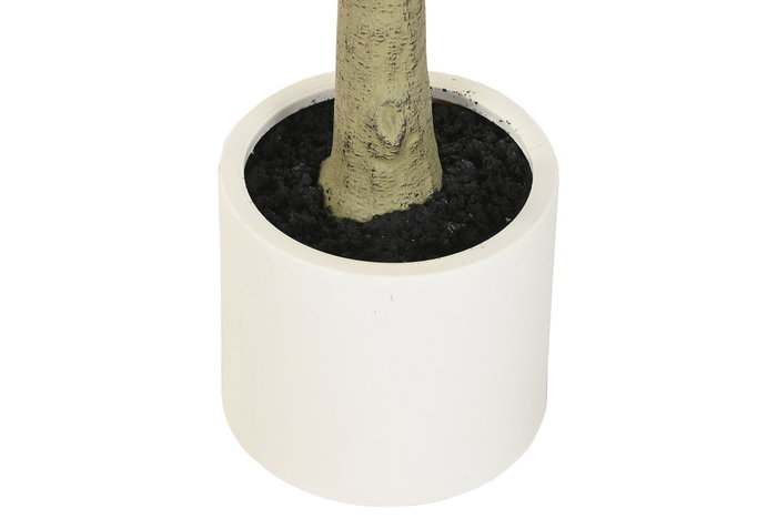 DKD Home Decor Árbol Oriental Blanco y Verde 70 x 180 x 70 cm - Pack de 2 Unidades DKD Home Decor Árbol Oriental Blanco y Verde 70 x 180 x 70 cm - Pack de 2 Unidades