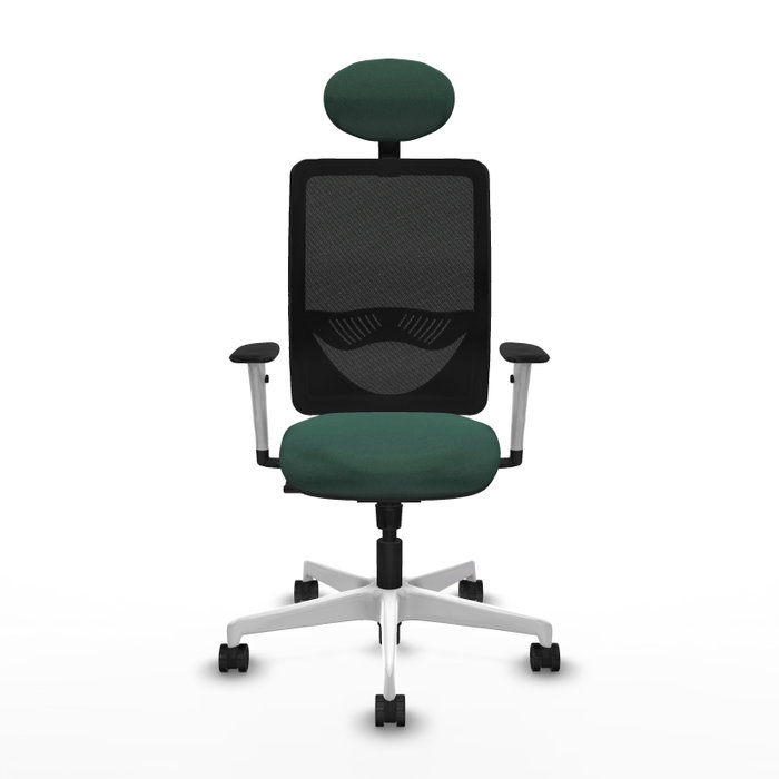 PIQUERAS Y CRESPO Silla de oficina Zulema con mecanismo Sincro, Verde botella y Negro PIQUERAS Y CRESPO Silla de oficina Zulema con mecanismo Sincro, Verde botella y Negro