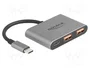 DeLOCK Hub USB 3 puertos con 1 x USB Type-C y 2 x USB Type-A 10 Gbps Gris