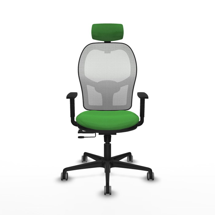 PIQUERAS Y CRESPO Silla de oficina Jorquera Verde con mecanismo Sincro/Traslack PIQUERAS Y CRESPO Silla de oficina Jorquera Verde con mecanismo Sincro/Traslack