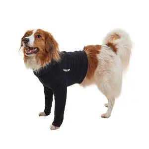 Kruuse Buster Body Sleeves Patas Delanteras para Perros y Gatos - Mangas Protectoras XS para Cuidado Postoperatorio, Heridas y Trastornos de la Piel - Talla XS Kruuse Buster Body Sleeves Patas Delanteras para Perros y Gatos - Mangas Protectoras XS para Cuidado Postoperatorio, Heridas y Trastornos de la Piel - Talla XS