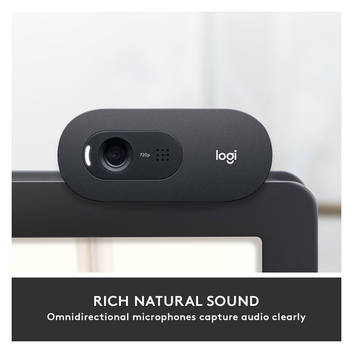 Logitech C505 HD Webcam Grafito