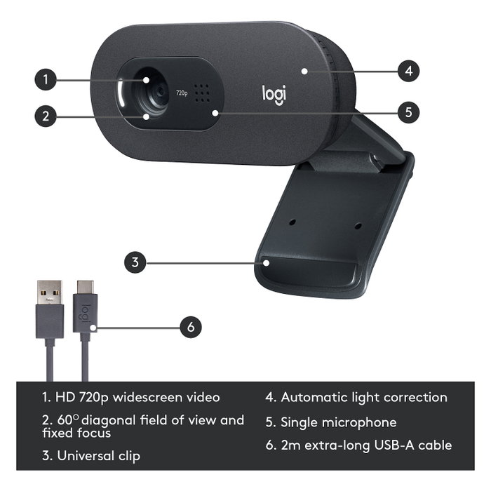 Logitech C505 HD Webcam Grafito