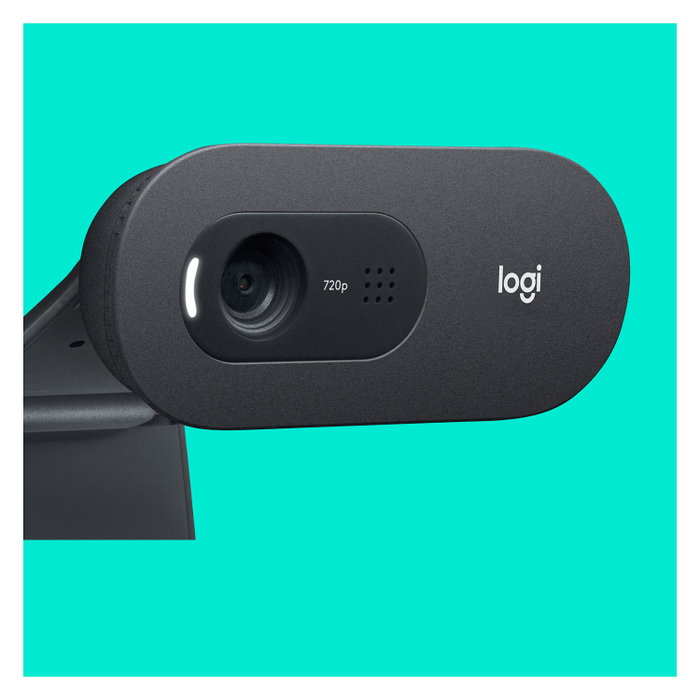 Logitech C505 HD Webcam Grafito