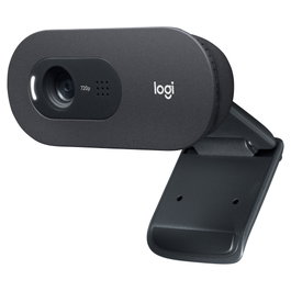 Logitech C505 HD Webcam Grafito