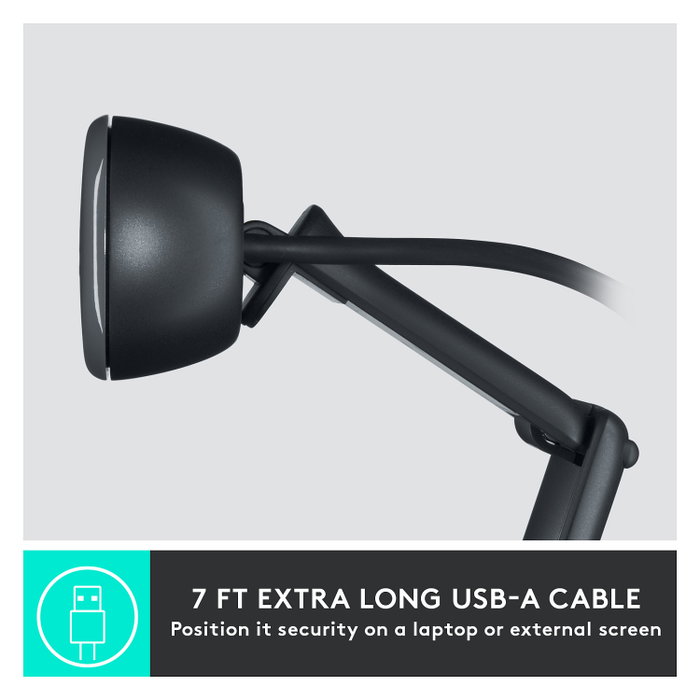 Logitech C505 HD Webcam Grafito