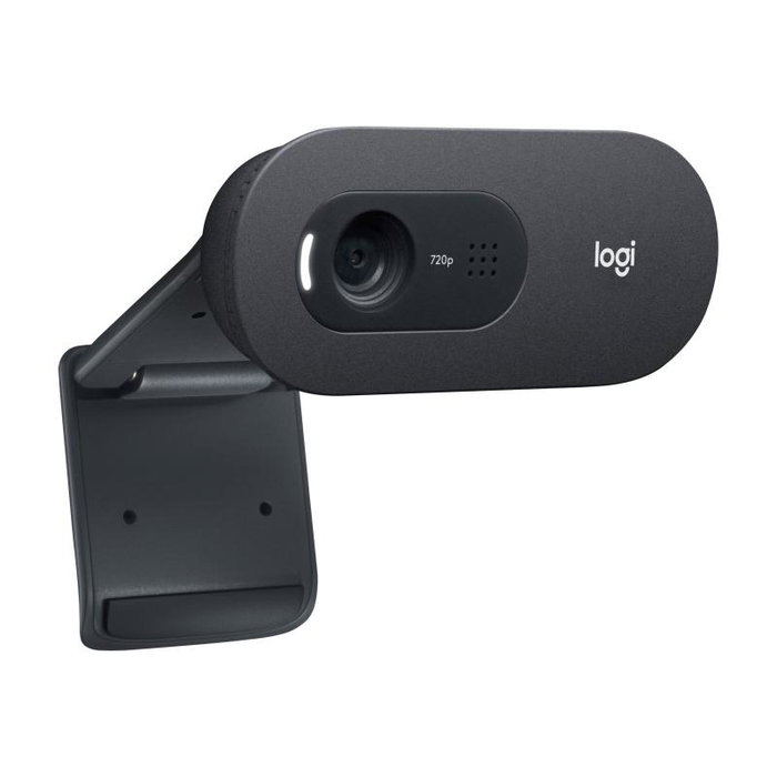Logitech C505 HD Webcam Grafito