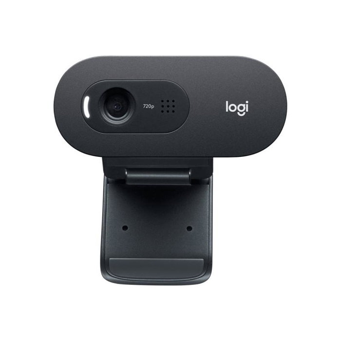 Logitech C505 HD Webcam Grafito
