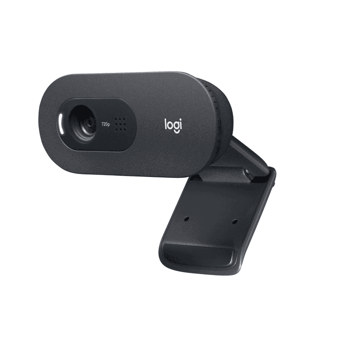 Logitech C505 HD Webcam Grafito
