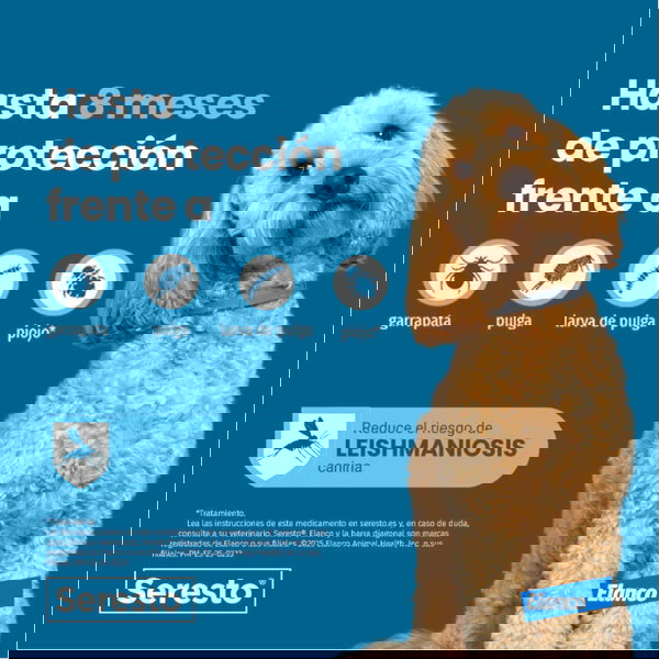 Elanco Collar Antiparasitario Seresto Clínico para Perros de más de 8 kg, Paquete de 1 Unidad