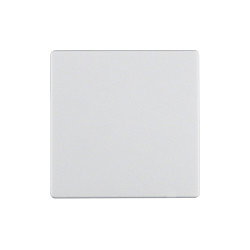 Berker 16206089 Wippe Q.1 polarweiß, samt Blanco Berker 16206089 Wippe Q.1 polarweiß, samt Blanco