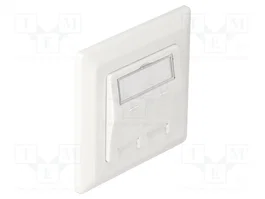 DeLOCK Keystone Anschlussdose 2 Port 86202