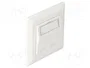 DeLOCK Keystone Anschlussdose 2 Port 86202