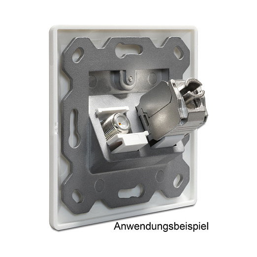 DeLOCK Keystone Anschlussdose 2 Port 86202