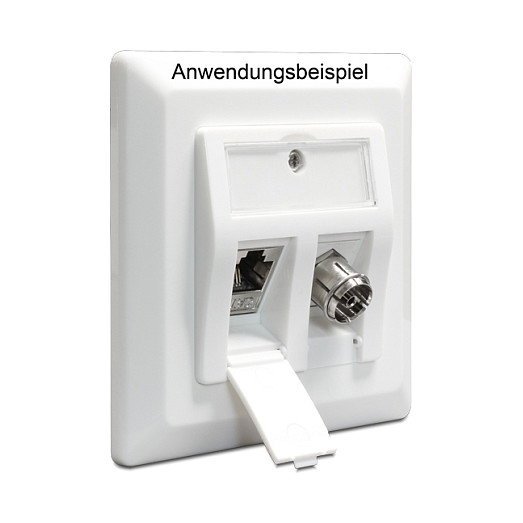 DeLOCK Keystone Anschlussdose 2 Port 86202